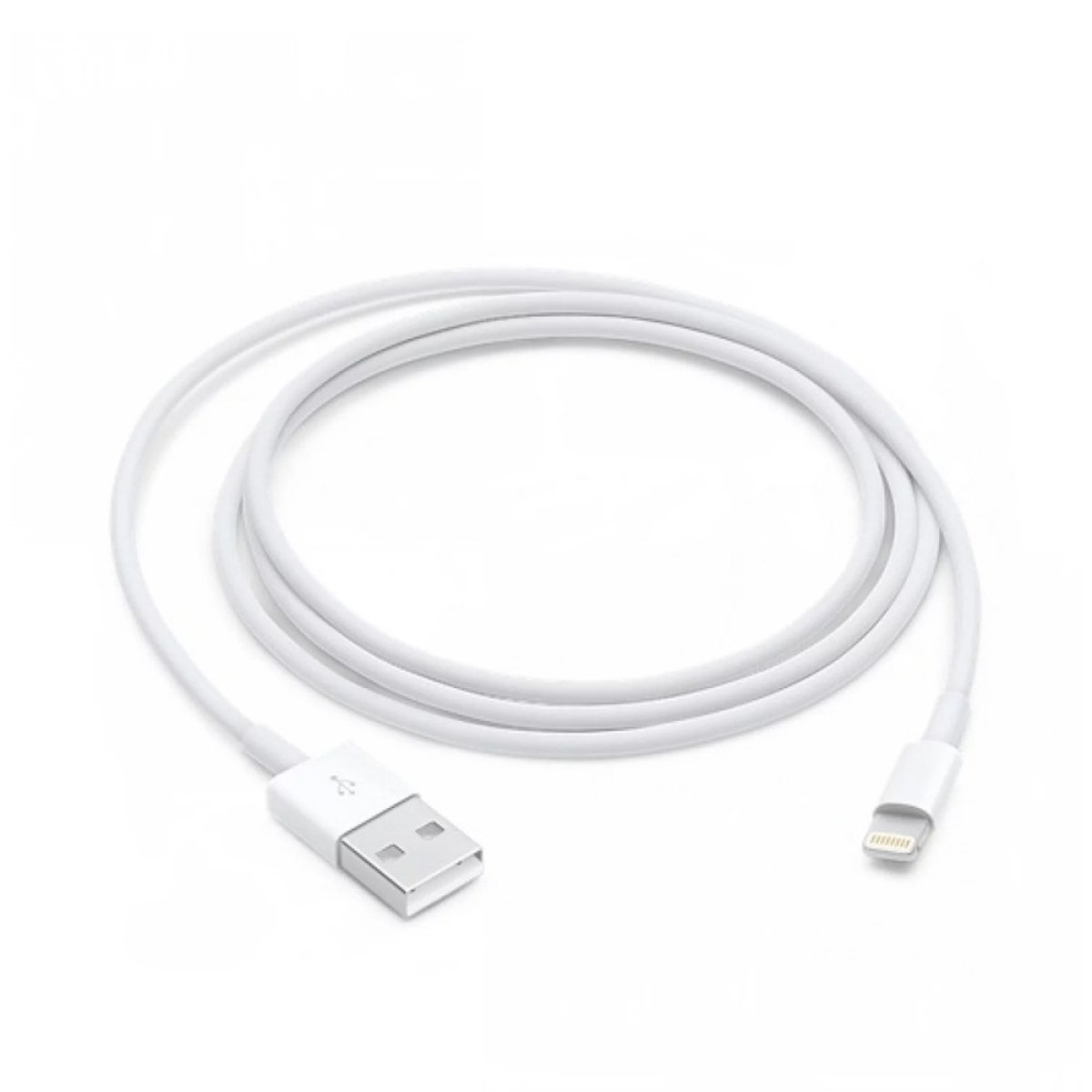USB-A TO LIGHTNING 1M - Image 1