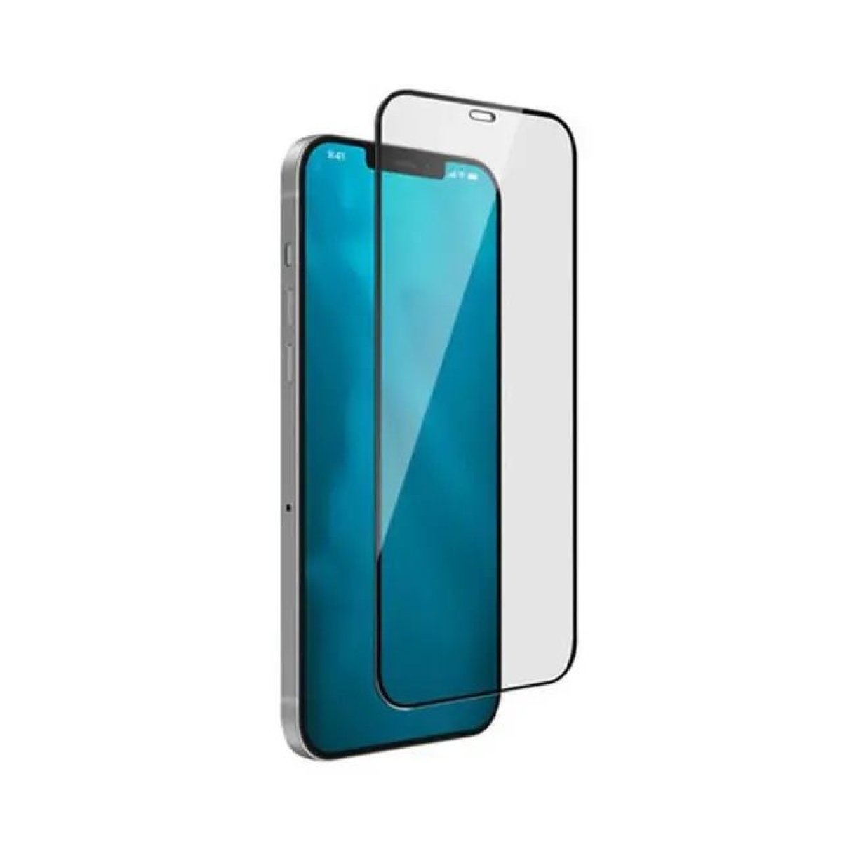 PRIVACY GLASS 9H STEVE - Image 1