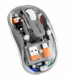 0.2052650020175871372423340-1-1.jpg GREEN LION WIRELESS TURTLE MOUSE 2400DPI WHITE - Image 1